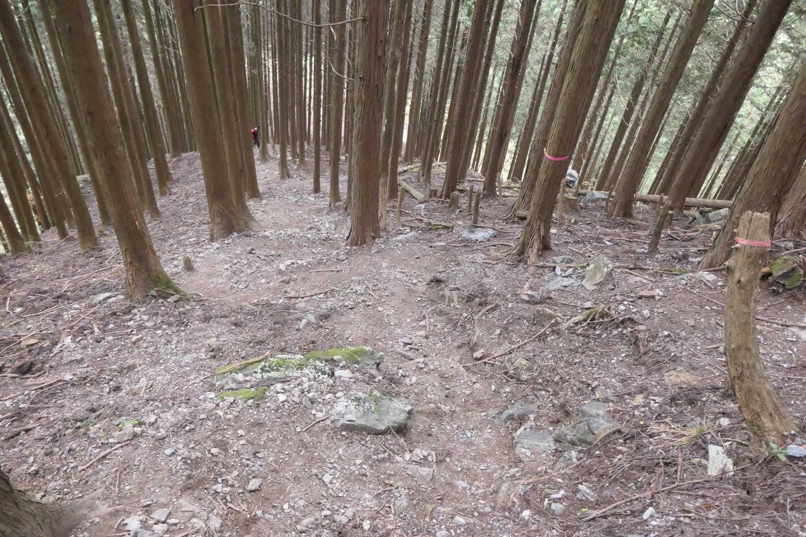 急坂を下ります。