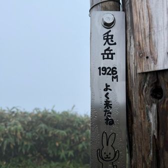 頂上からの眺めは…

白うさぎ並みの美しさ🤍！