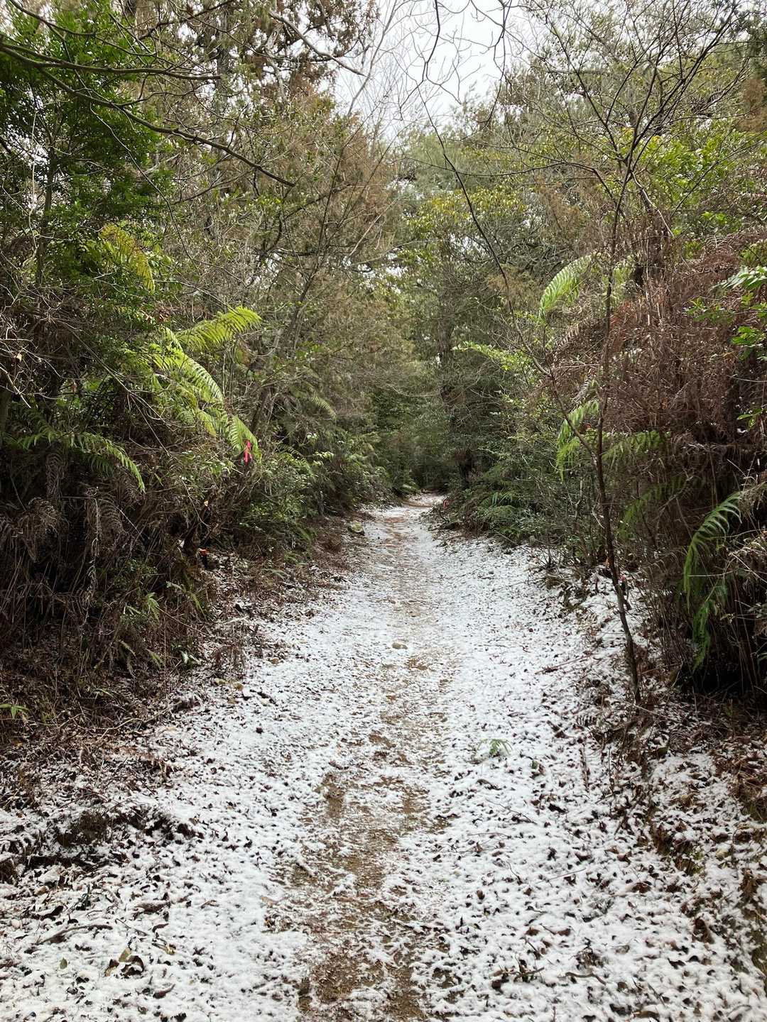 熊山遺跡 往復コースの写真