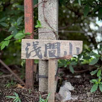 登頂⛰️