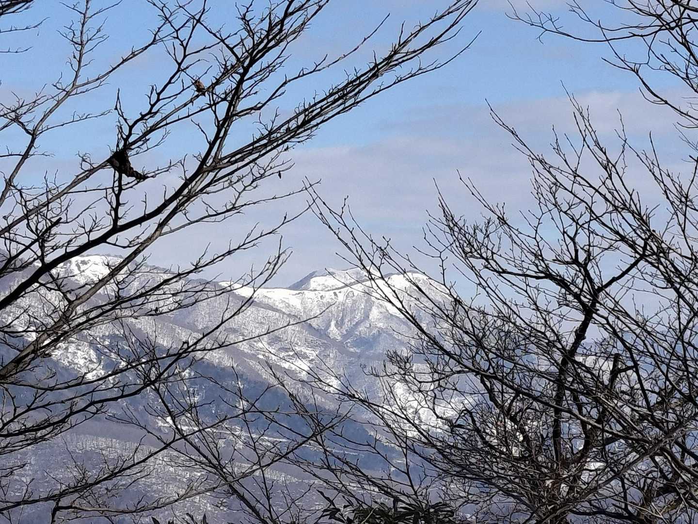 花房山　