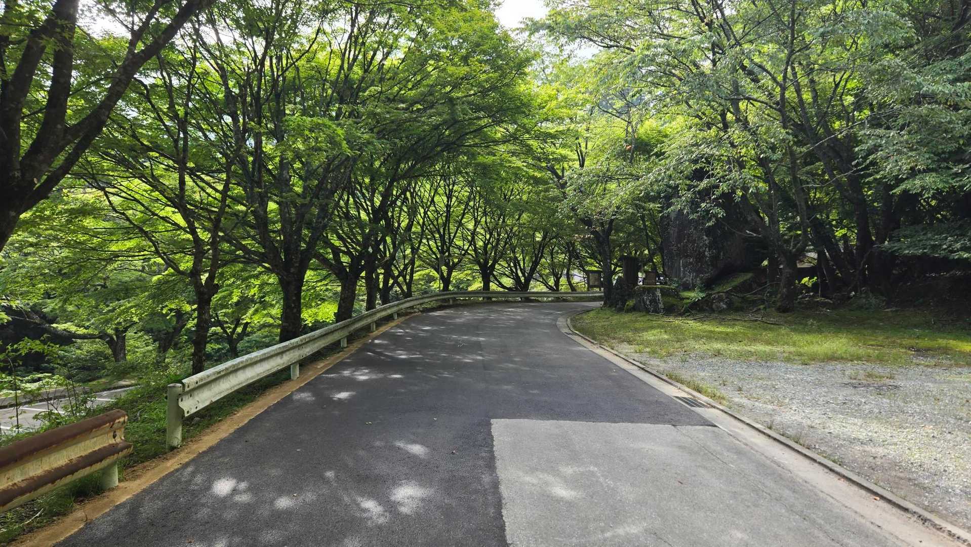 帰着