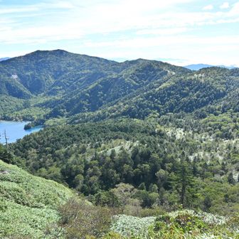 山頂からの景色