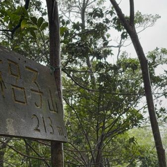 山頂