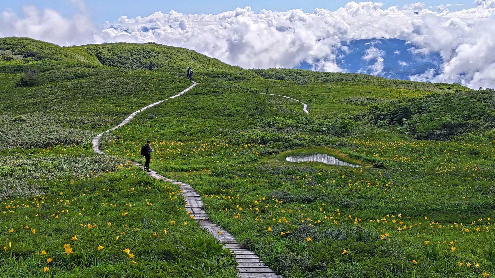 白木峰-浮島の池 往復コースの写真