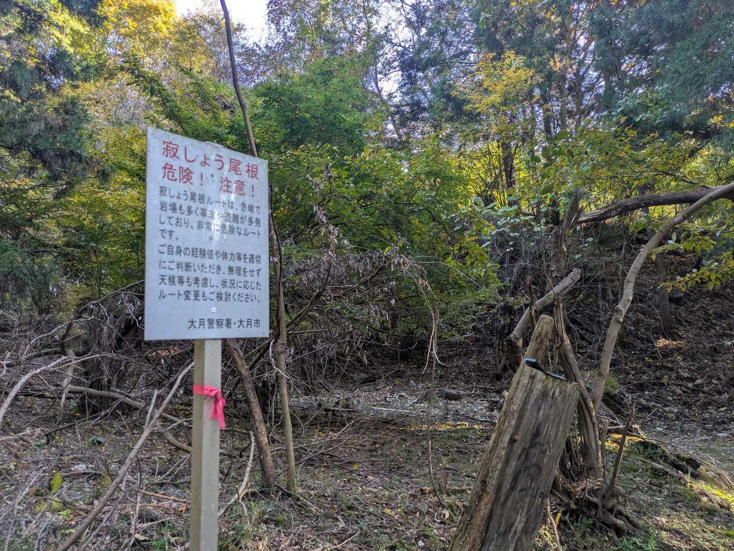 寂しょう尾根分岐