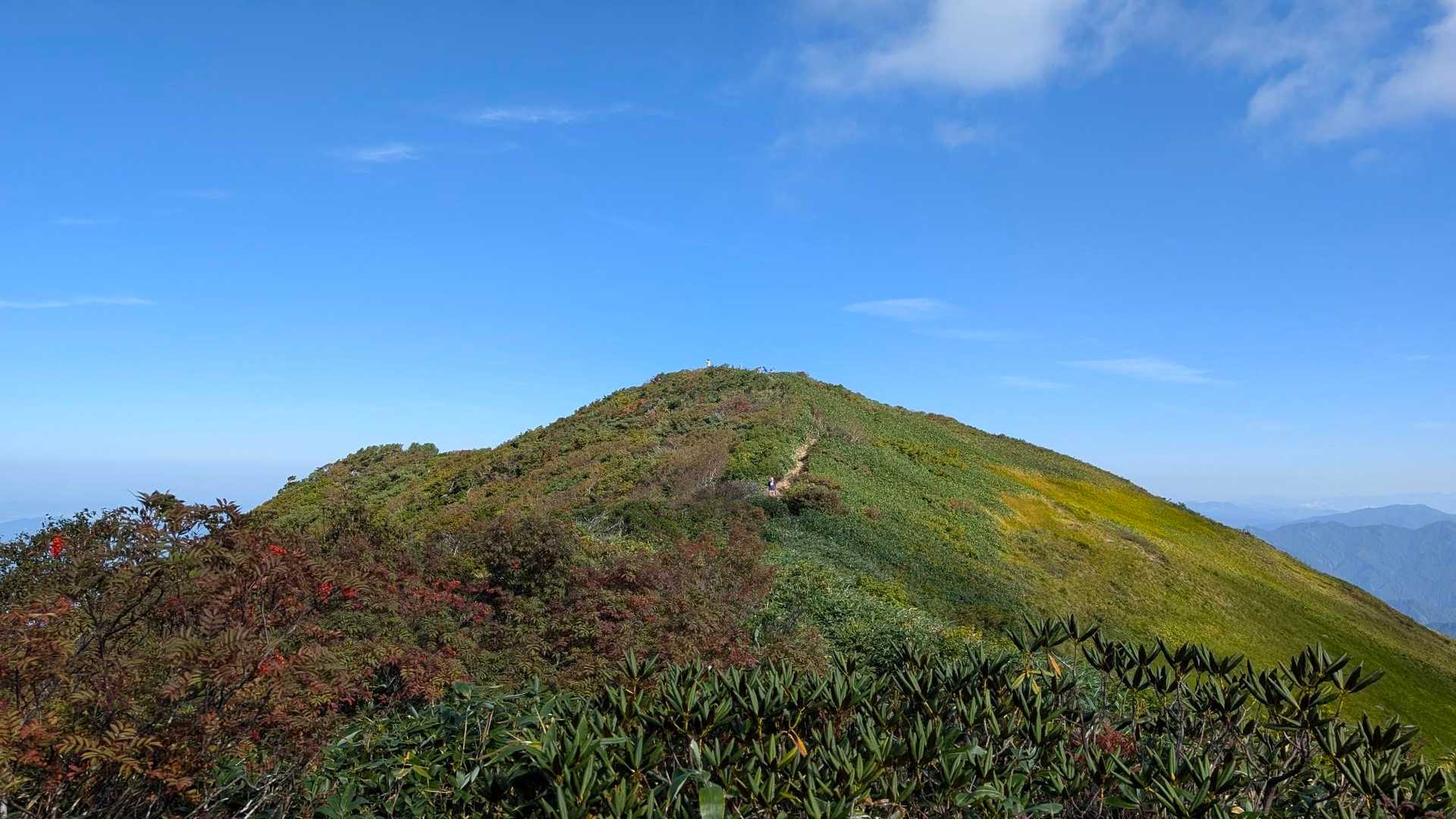 十二平登山口-グシガハナ-越後駒ヶ岳 往復コースの写真
