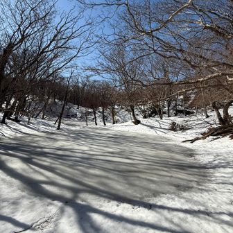 仙香池、凍ってる〜🥶