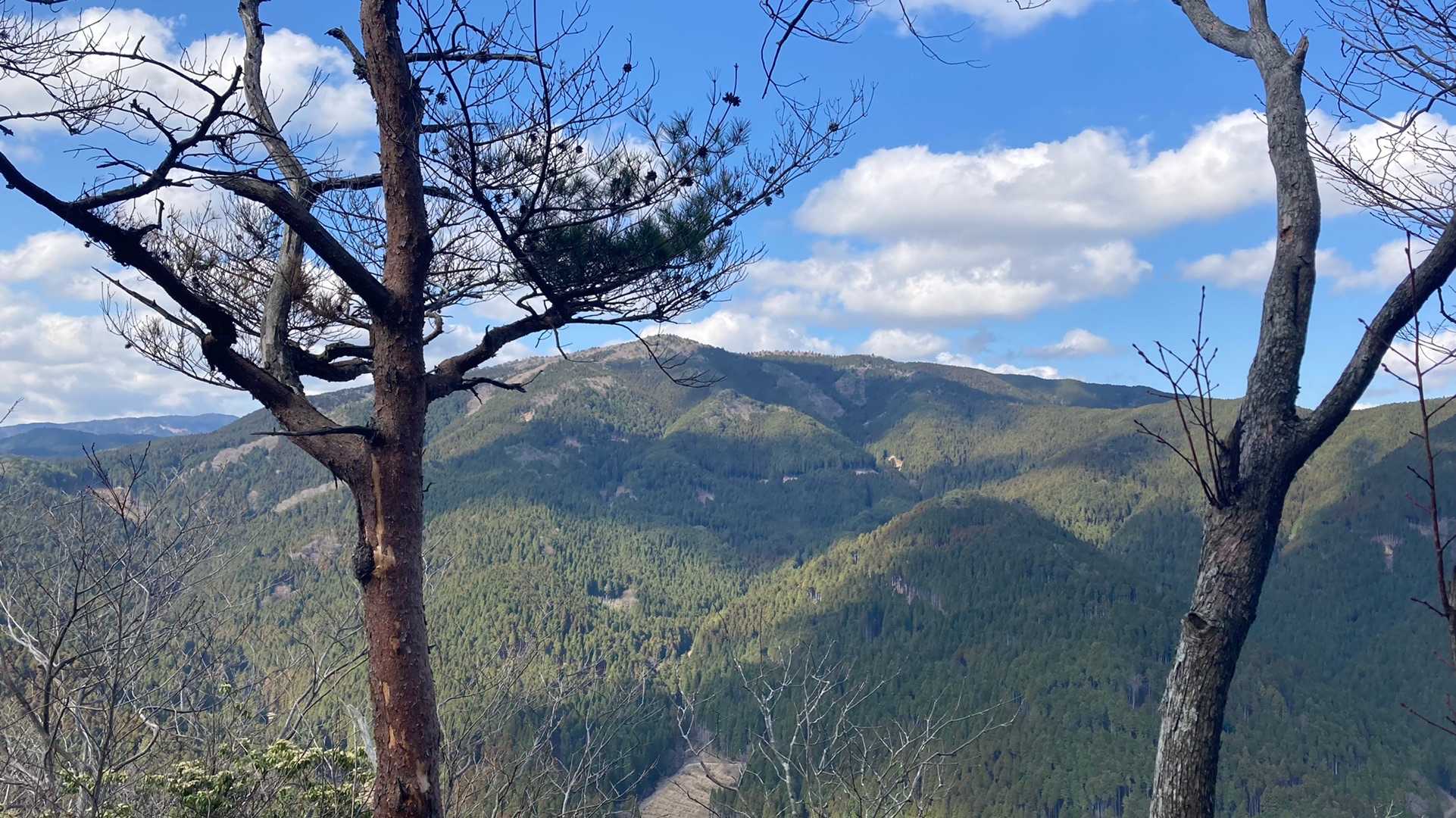 東山⛰？