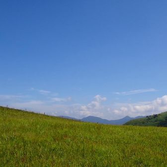 草原の風に吹かれに来たんだよ☺️

開き始めたススキの穂を揺らして、
もう少し吹いてくれないかなあ…