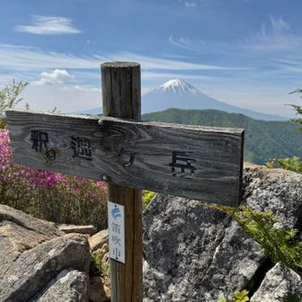 釈迦ヶ岳からの富士山🗻
