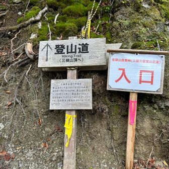 作業林道があるので迷わないように