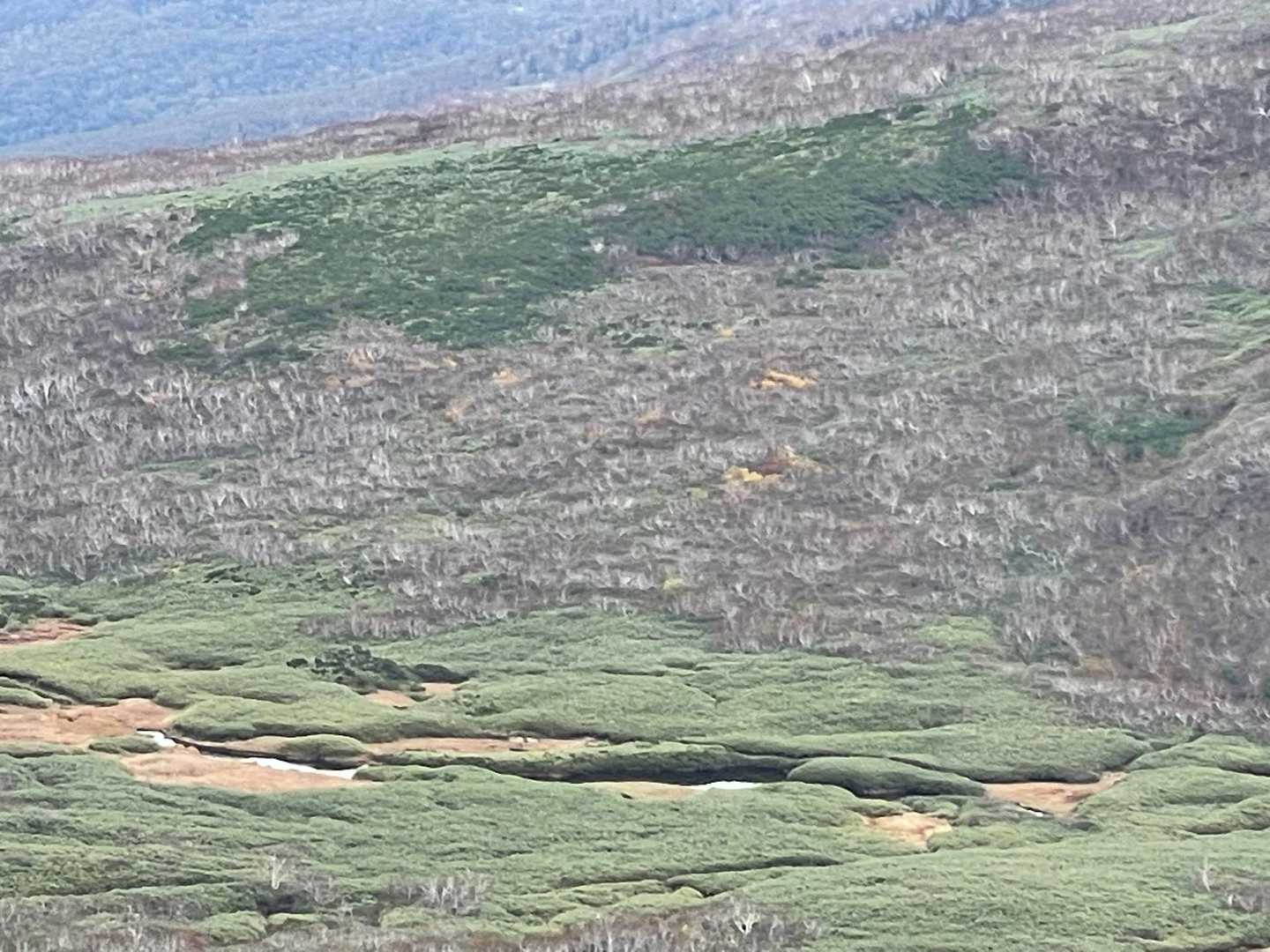パンケメクンナイ湿原