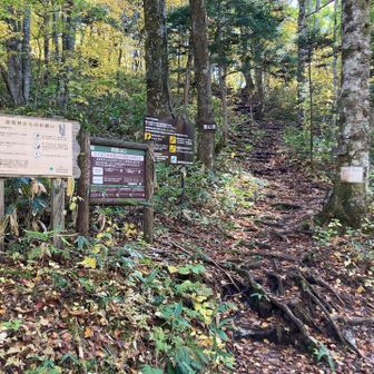西登山口到着