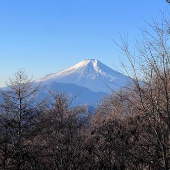 朝の冷たい空気の中で
キリッと姿をあらわす綺麗な富士山……✨
思わず深呼吸したくなる