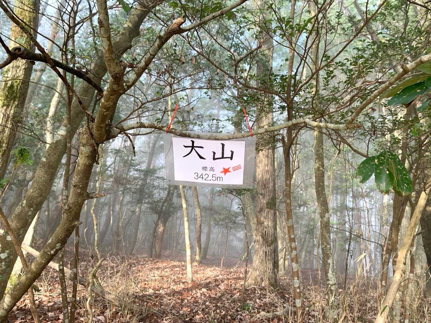 大山 周回コースの写真
