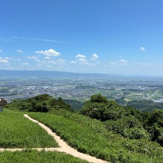 日差しが強過ぎる🌞
麓の気温は37℃らしい🥵
ココ標高400mだと35℃くらいか🙄