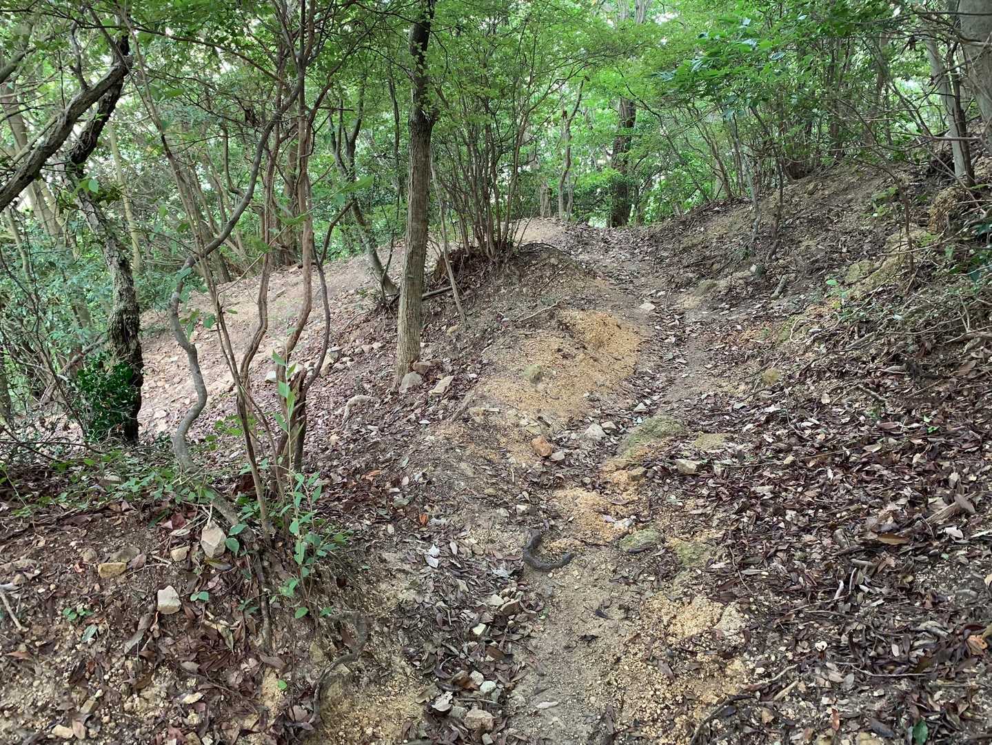 それでは妙法寺を目指して下山します。ようやくそれらしい登山道になりました(^^)