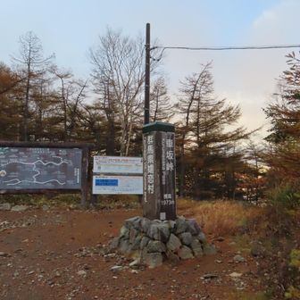 登山口の主張が強めは◎
