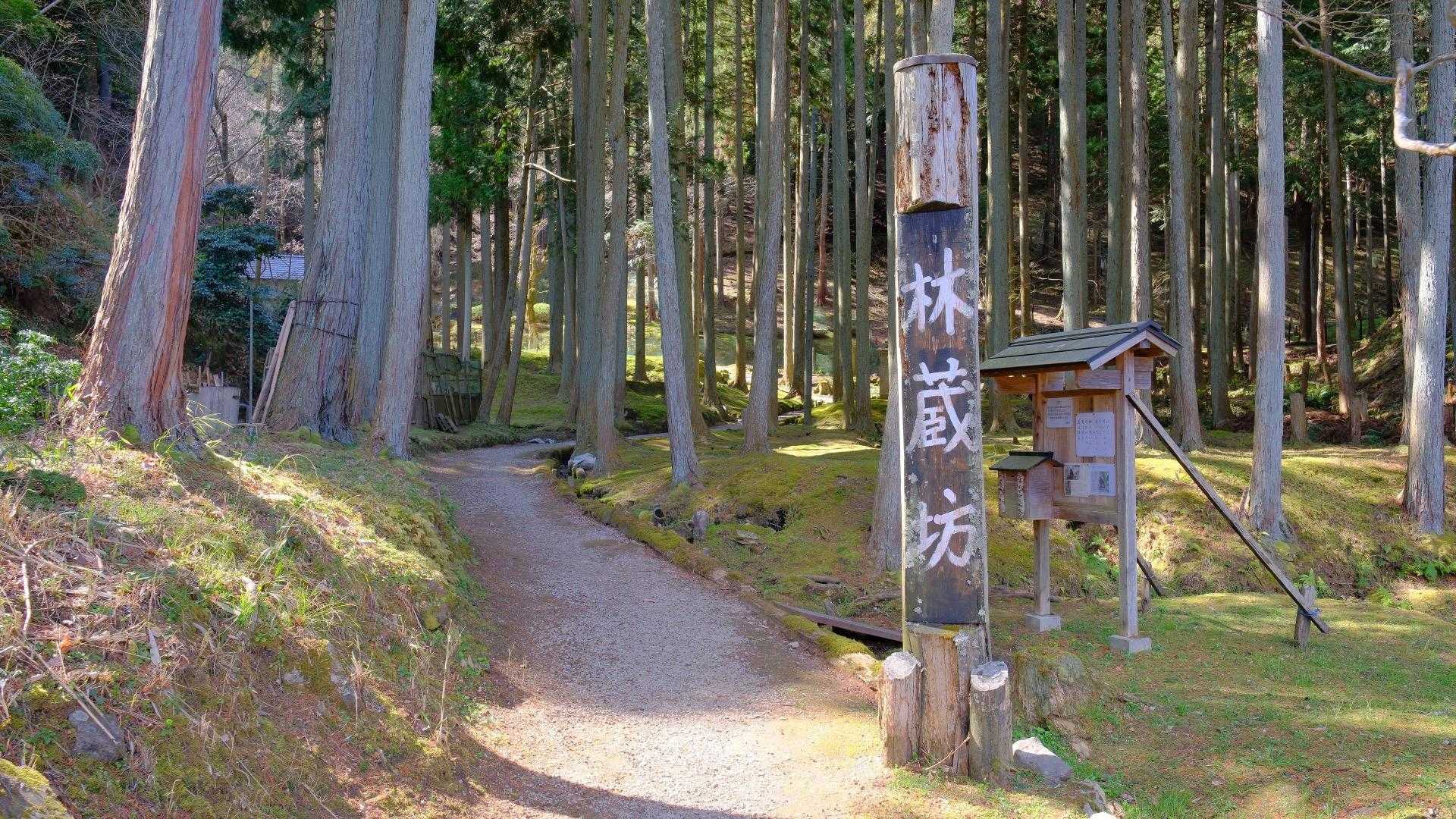 車は臨時🅿️に置いて、歩いてきます。
初めてなので、ここの前まで車で来てしまいましたが、🅿️はない上、とても細い道路です。