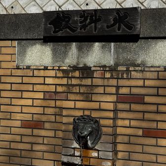 なんとライオンの水場まで。
この近くにトイレもありますよ〜。