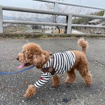 ボーダーのお洋服もお似合いですよ💓