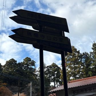 逆光で映ってないが

井原山・雷山中腹自然歩道を瑞梅寺　山の家方向へ左折する
