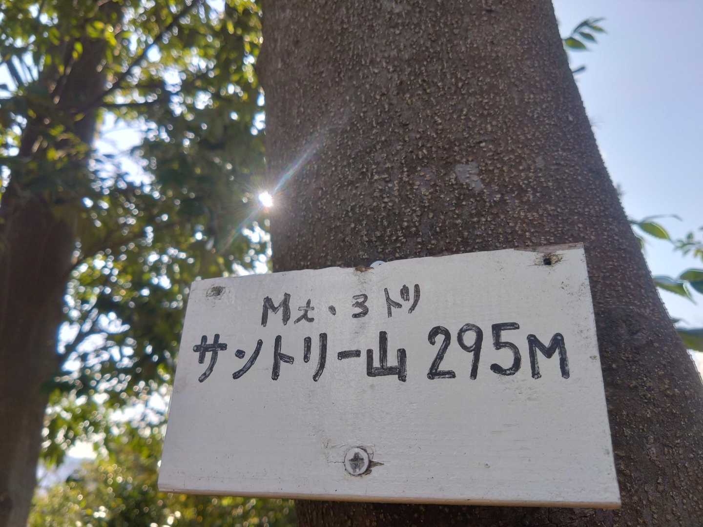 まうんと3トリ。天王山より高い!