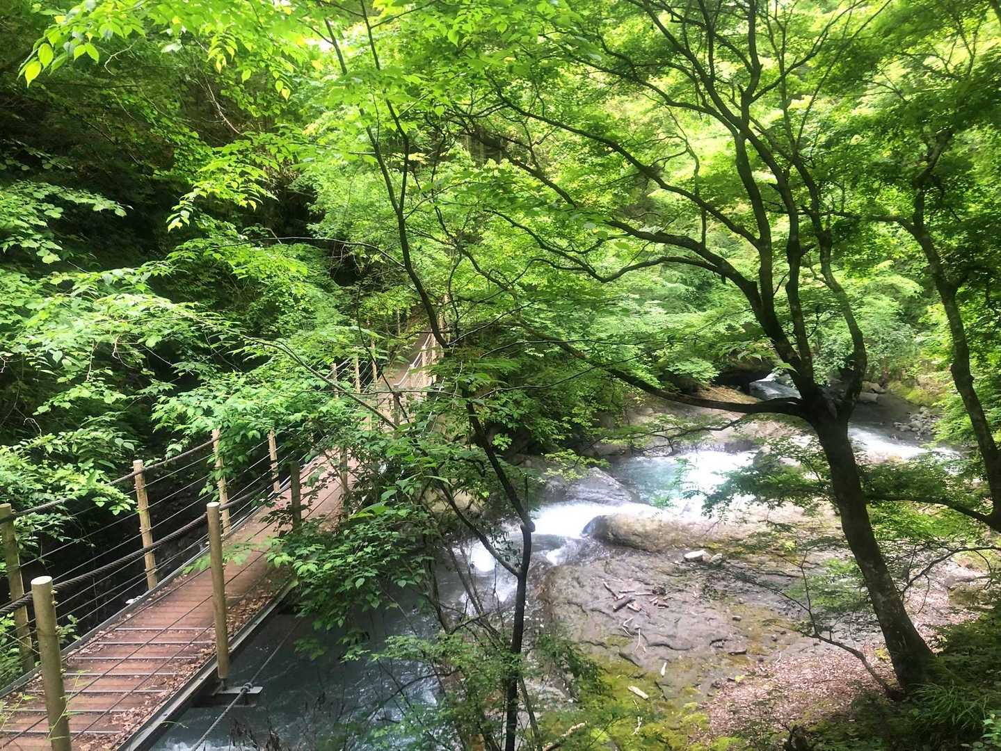 【大柳川渓谷】個性豊かな5つの滝をめざして吊橋をめぐる山歩道の写真