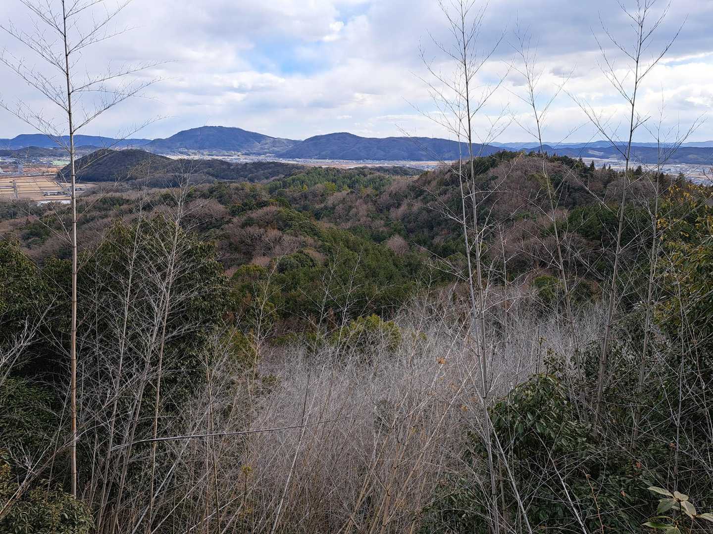 伊與部山-木村山-朝間薬師堂 往復コースの写真