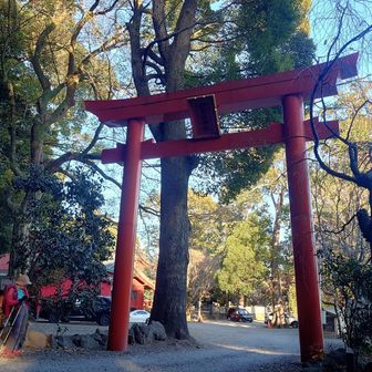 伊豆山神社に到着😄