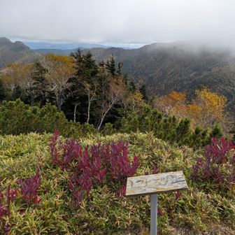 キツめの登りから
やっとピリベツ岳到着
ややガスが掛かってきた