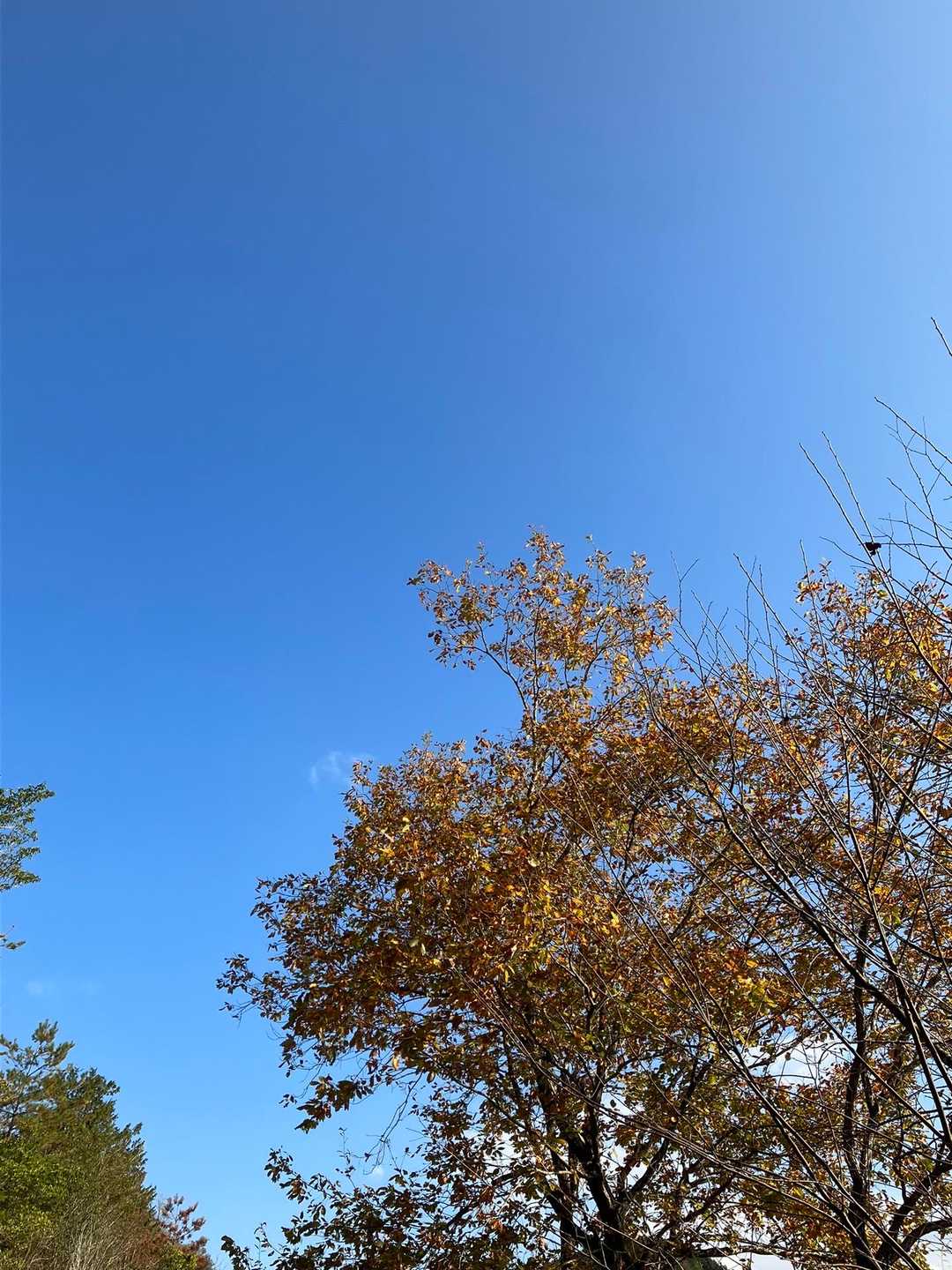 青い空
