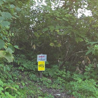 駐車場の隅に材木坂ルート登山口がある