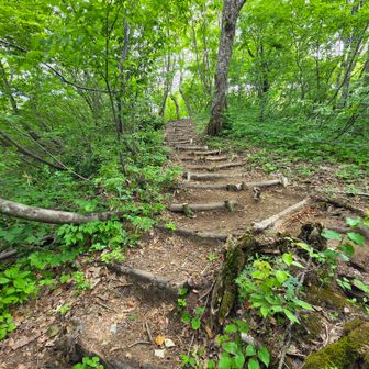 整備された登山道 🪚🔨