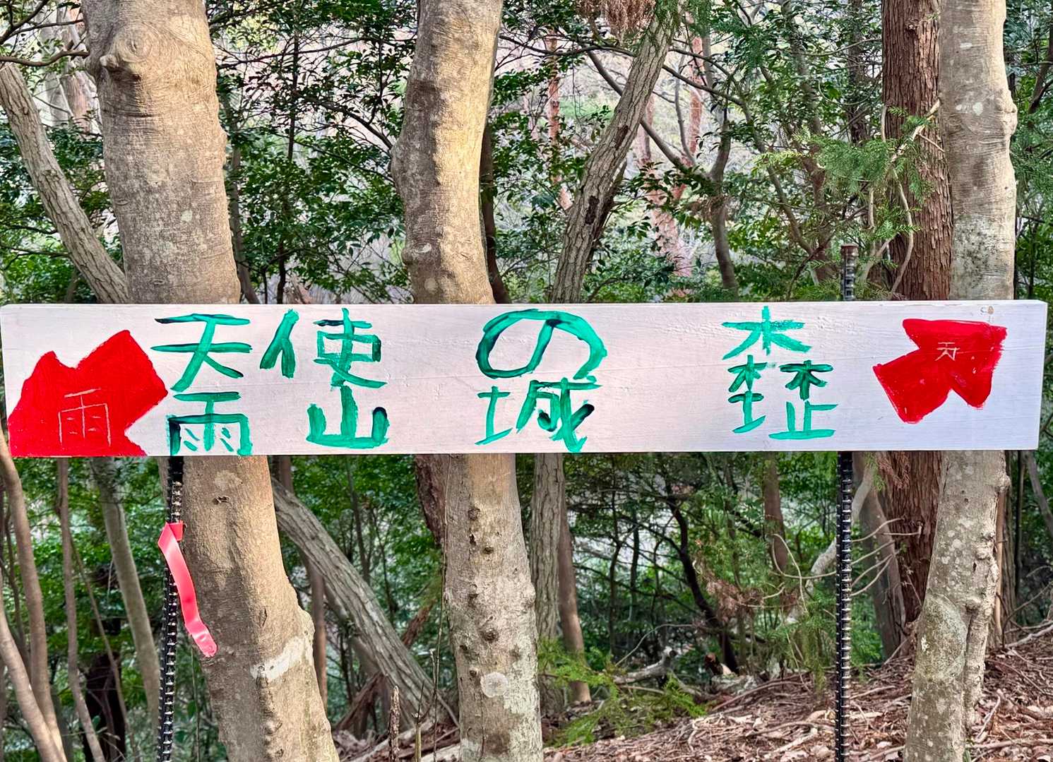 だんだんと自分自身の文字認識力が落ちているように感じてきました。
異国に来たのかパラレルワールドなのか？
