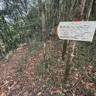 急遽右回りコースに予定変更😅