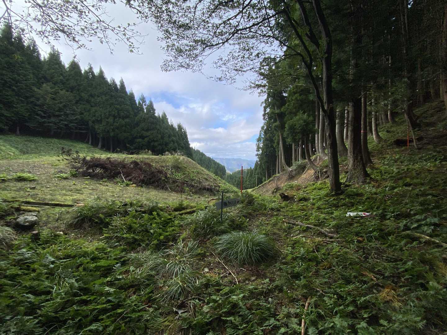 無事登山口到着。