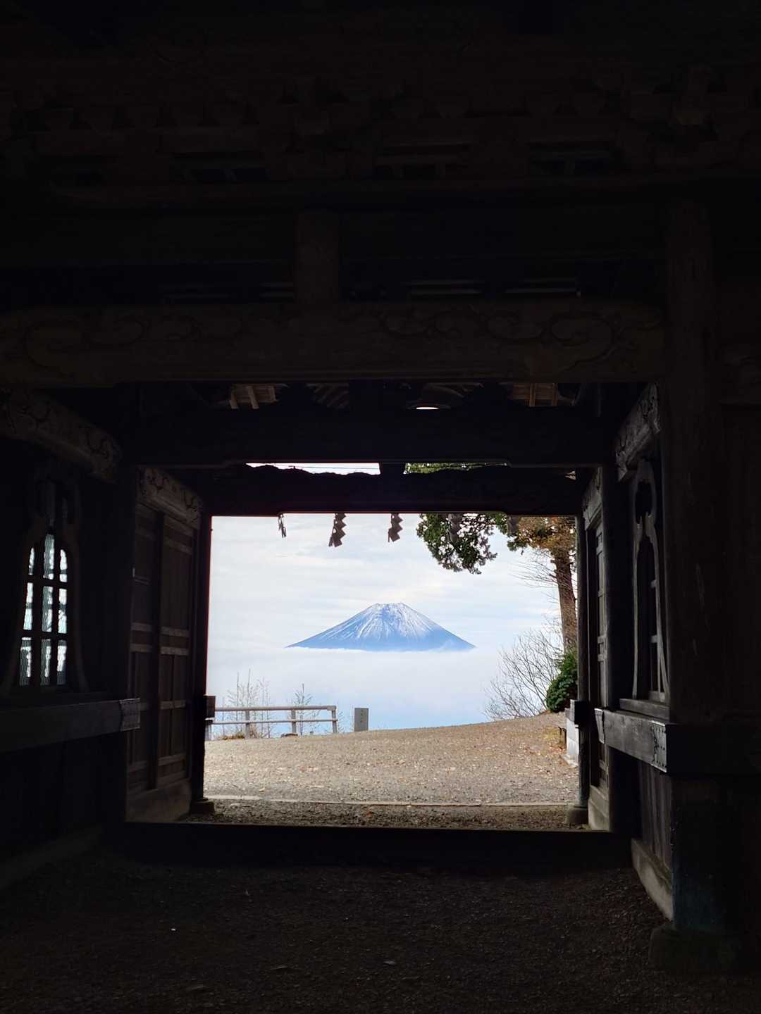 おぉー！富士山キレイ✨