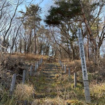 初めはこの朽ちた木段で登ります。
准尉のご家族にも手を合わせてきました🙏