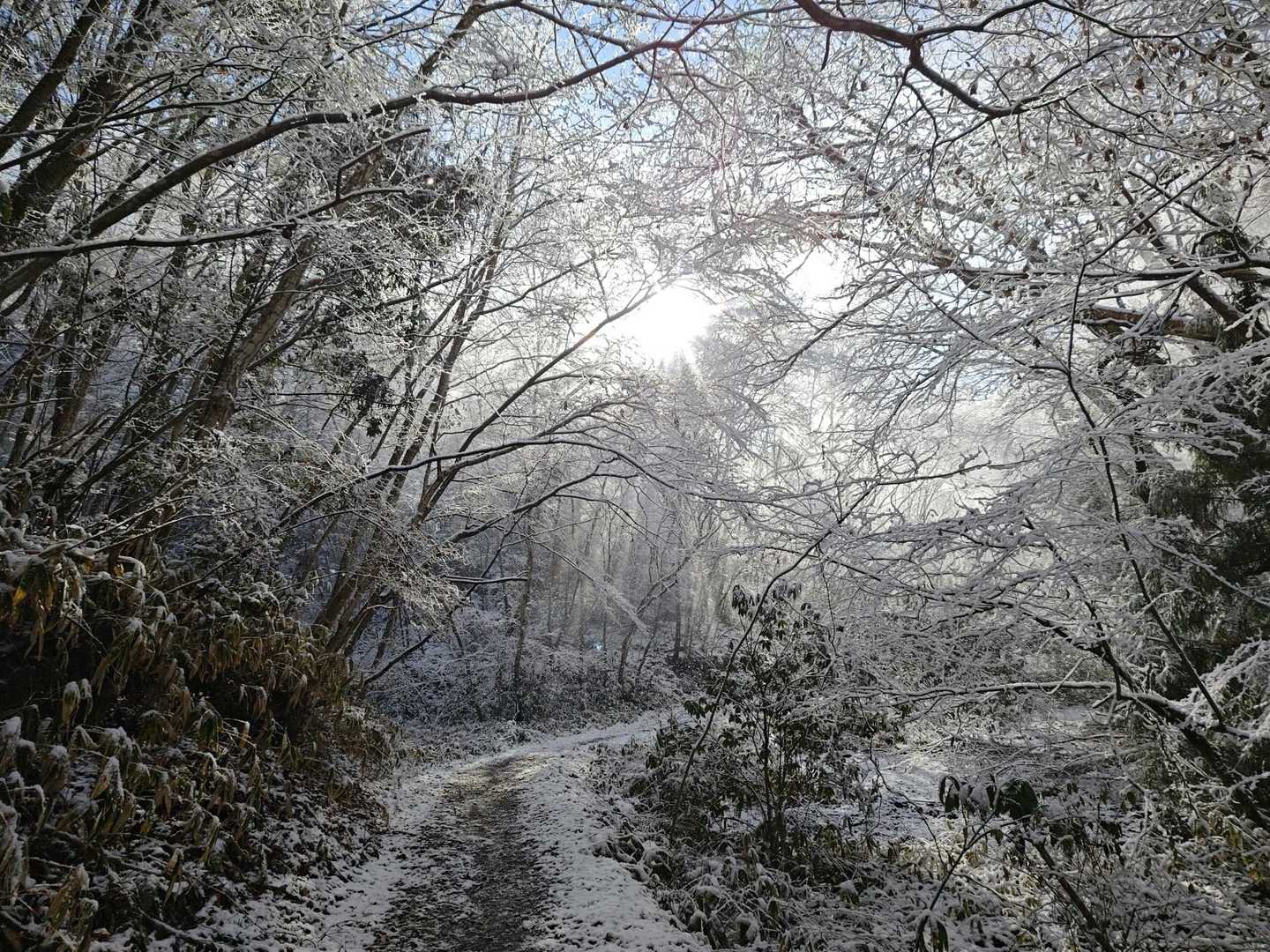 なかなか良いദി  ᷇ᵕ  ᷆  )