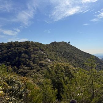 長尾奥山から高御位山を望む