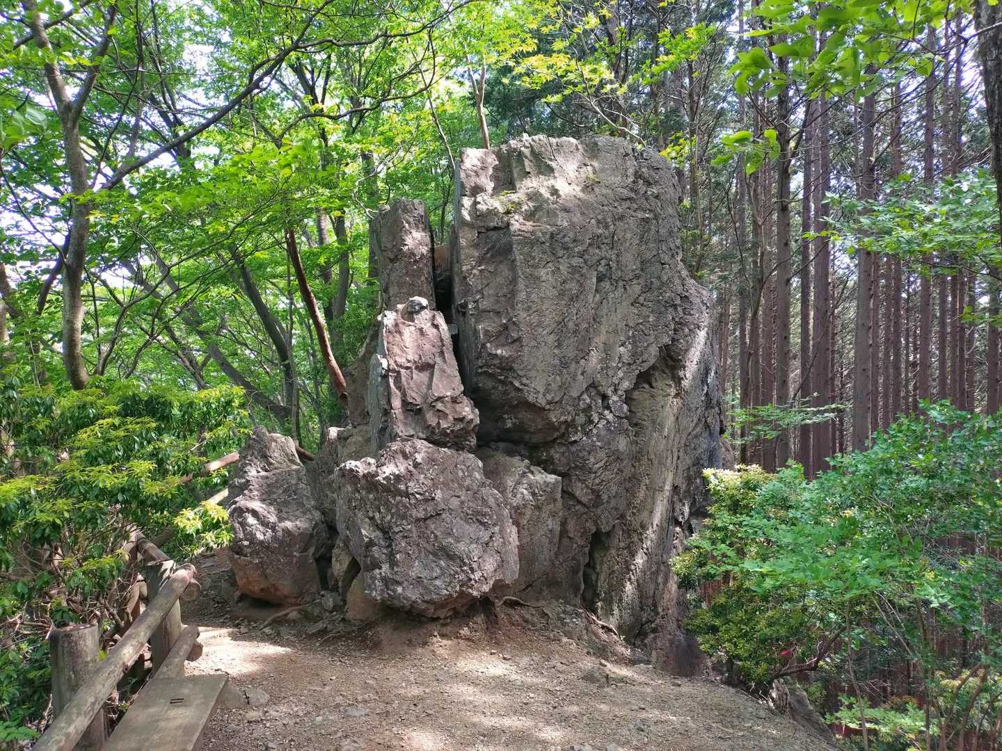 龍泉寺登山口-白谷沢登山口-権次入峠-棒ノ嶺-黒山-逆川ノ 縦走コースの写真