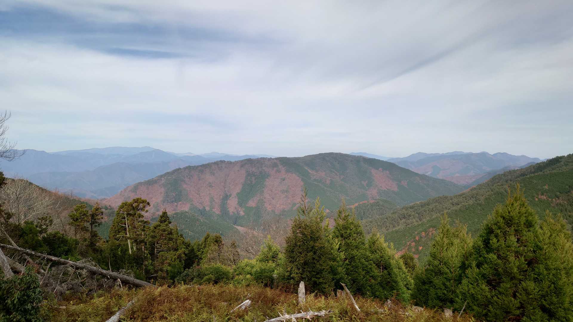 特に大段山には感動しました。