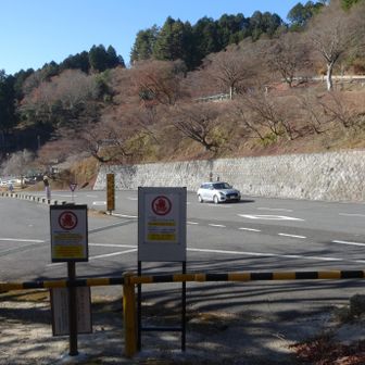道路の反対側にドライブインみたいな建物が見えていますが、ここから先は入れません。