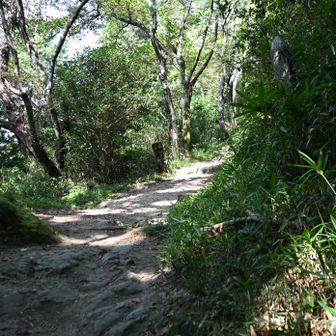 岩屋峠コース、
