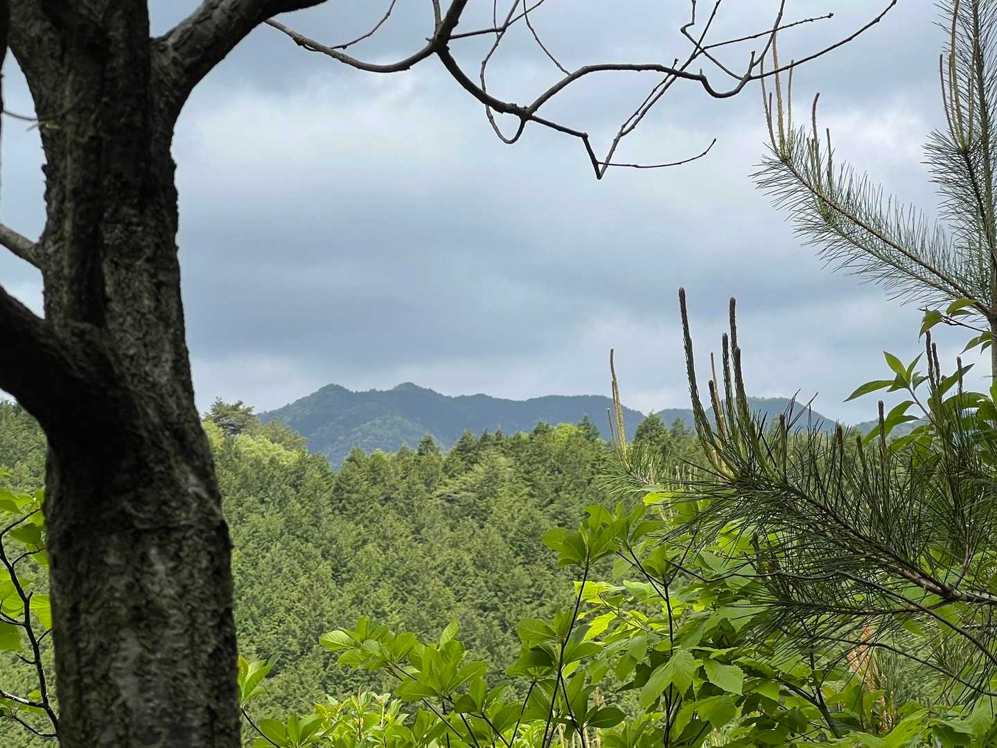 ↗️二つピークがある山は、牛頭山だそうです❗️😄牛の角二つ🐮