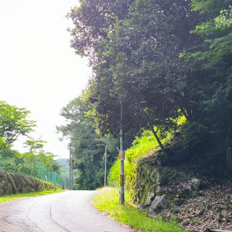 登山口から、大津と京都の県境。