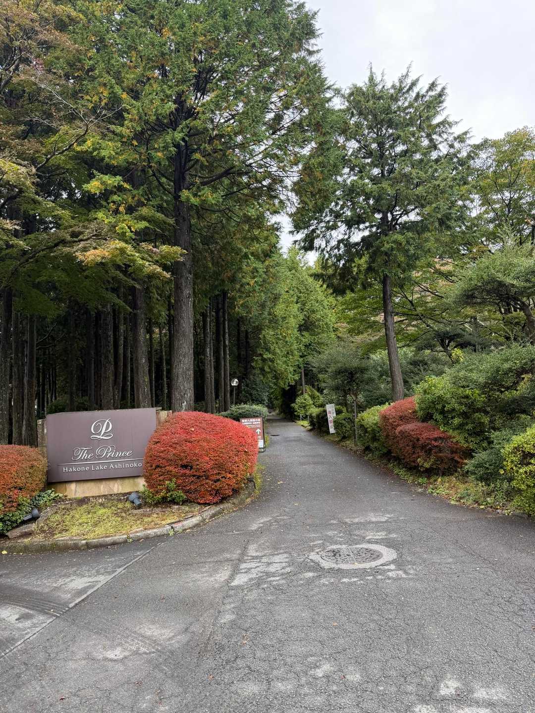 箱根プリンスの脇道を行きます