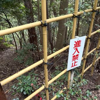 ココはダメ！
